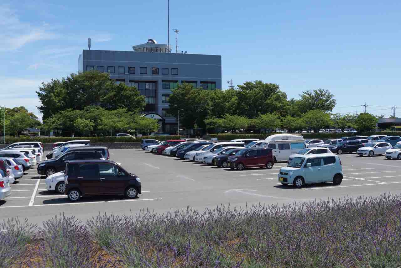 犬連れて 久喜 菖蒲 ラベンダー堤 シェビーズのブログ 犬連れて 久喜 菖蒲 ラベンダー堤 シェビーズのブログ