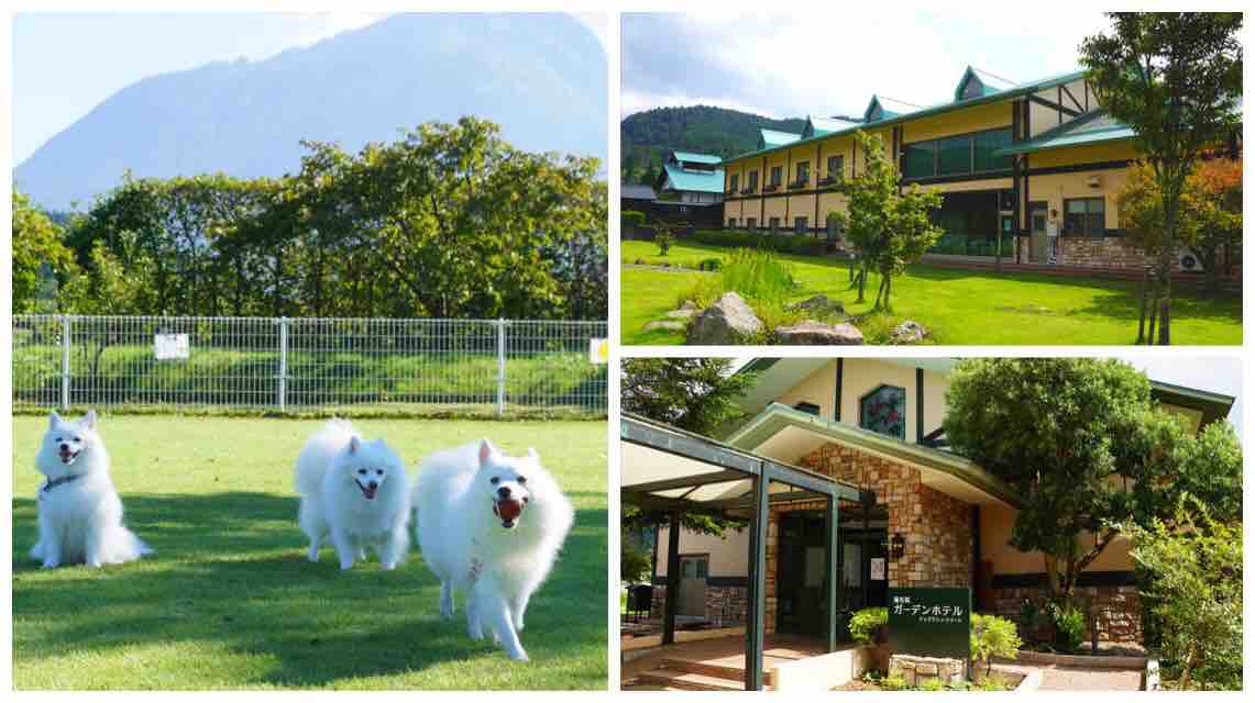 犬連れて九州旅行 湯布院ガーデンホテル シェビーズのブログ