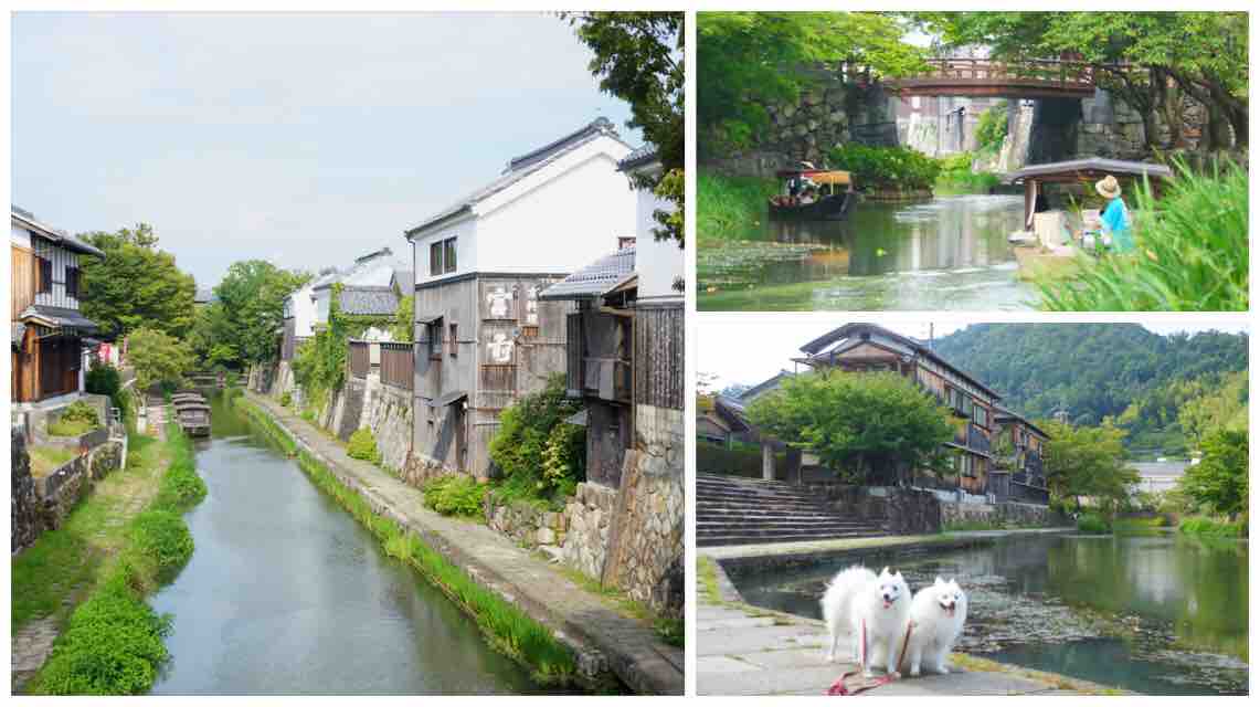 犬連れて 近江八幡 ラコリーナ 琵琶湖 伊勢志摩旅行 シェビーズのブログ 犬連れて 近江八幡 ラコリーナ 琵琶湖 伊勢志摩旅行 シェビーズのブログ