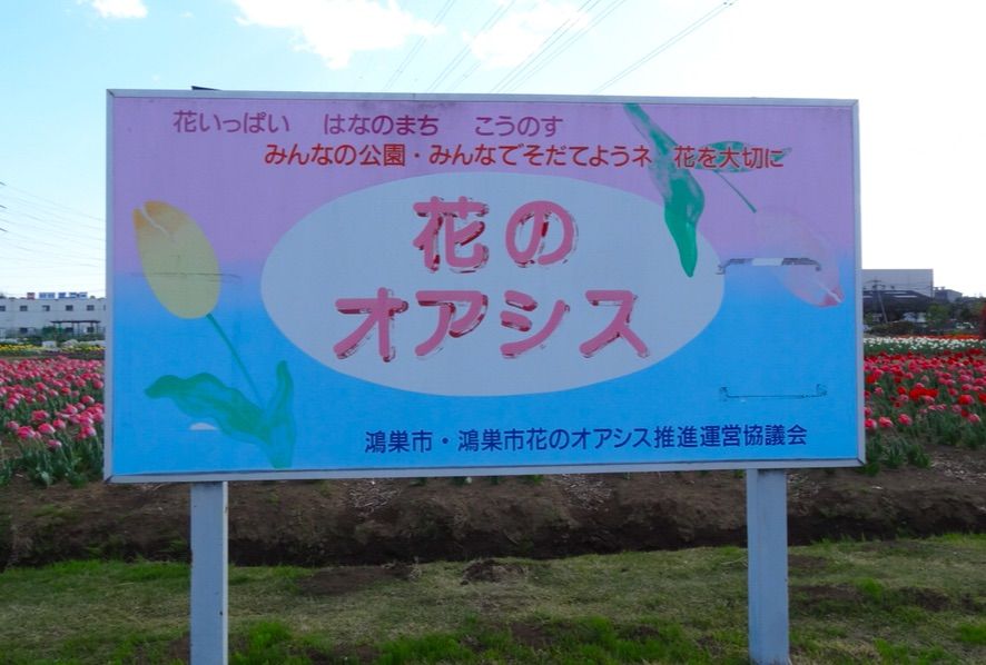 犬連れ 鴻巣 花のオアシス チューリップ シェビーズのブログ