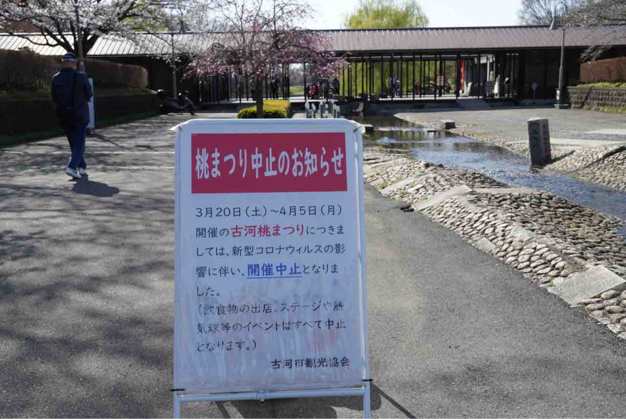 犬連れて 古河総合公園 古河公方公園 桃の花 シェビーズのブログ 犬連れて 古河総合公園 古河公方公園 桃の花 シェビーズのブログ
