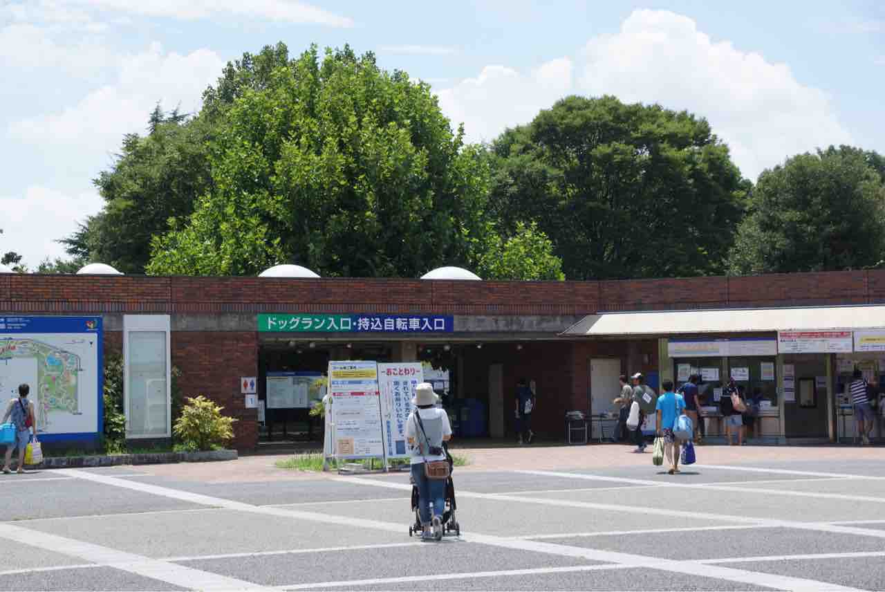 犬連れて 昭和記念公園 ドッグラン シェビーズのブログ 犬連れて 昭和記念公園 ドッグラン シェビーズのブログ