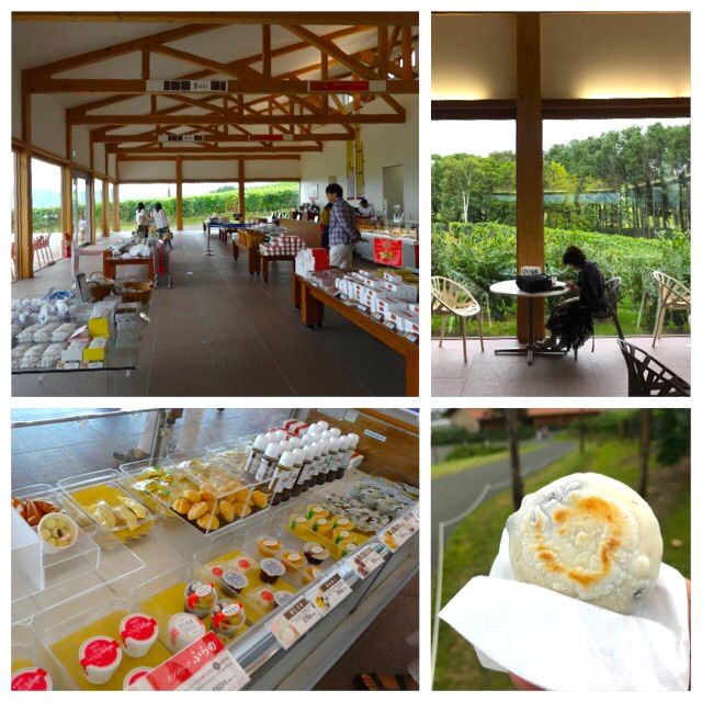 犬連れて北海道旅行 青い池 四季彩の丘 シェビーズのブログ