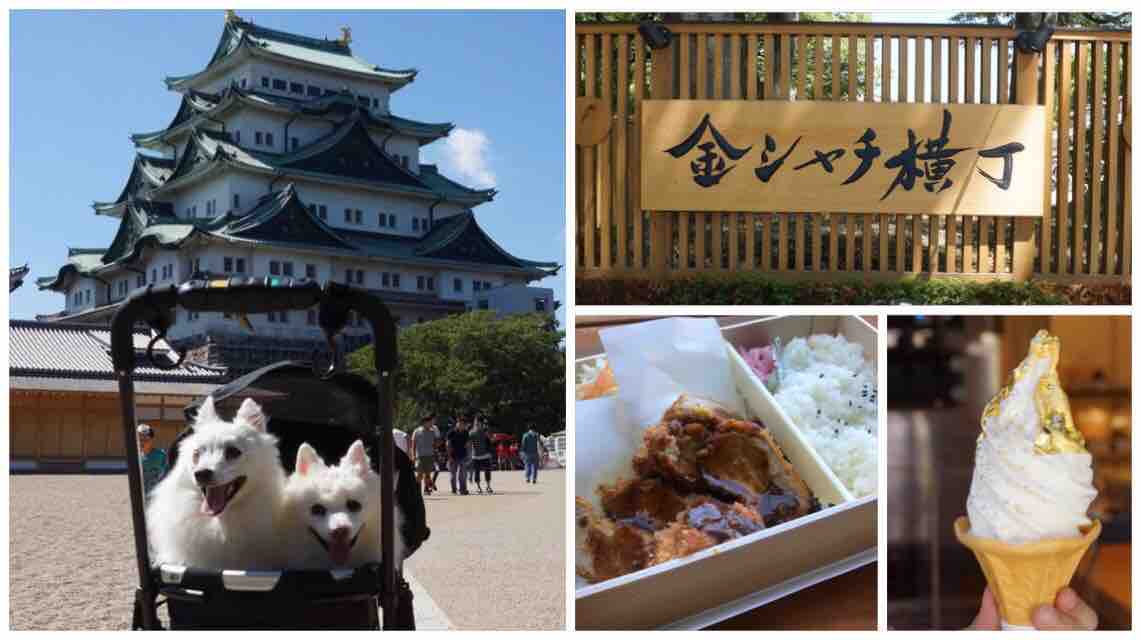 犬連れて九州旅行 名古屋 神戸 シェビーズのブログ