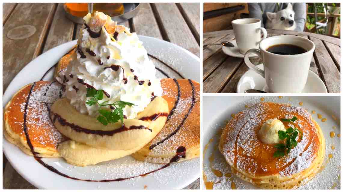 犬連れて ジロー珈琲 草加店 シェビーズのブログ