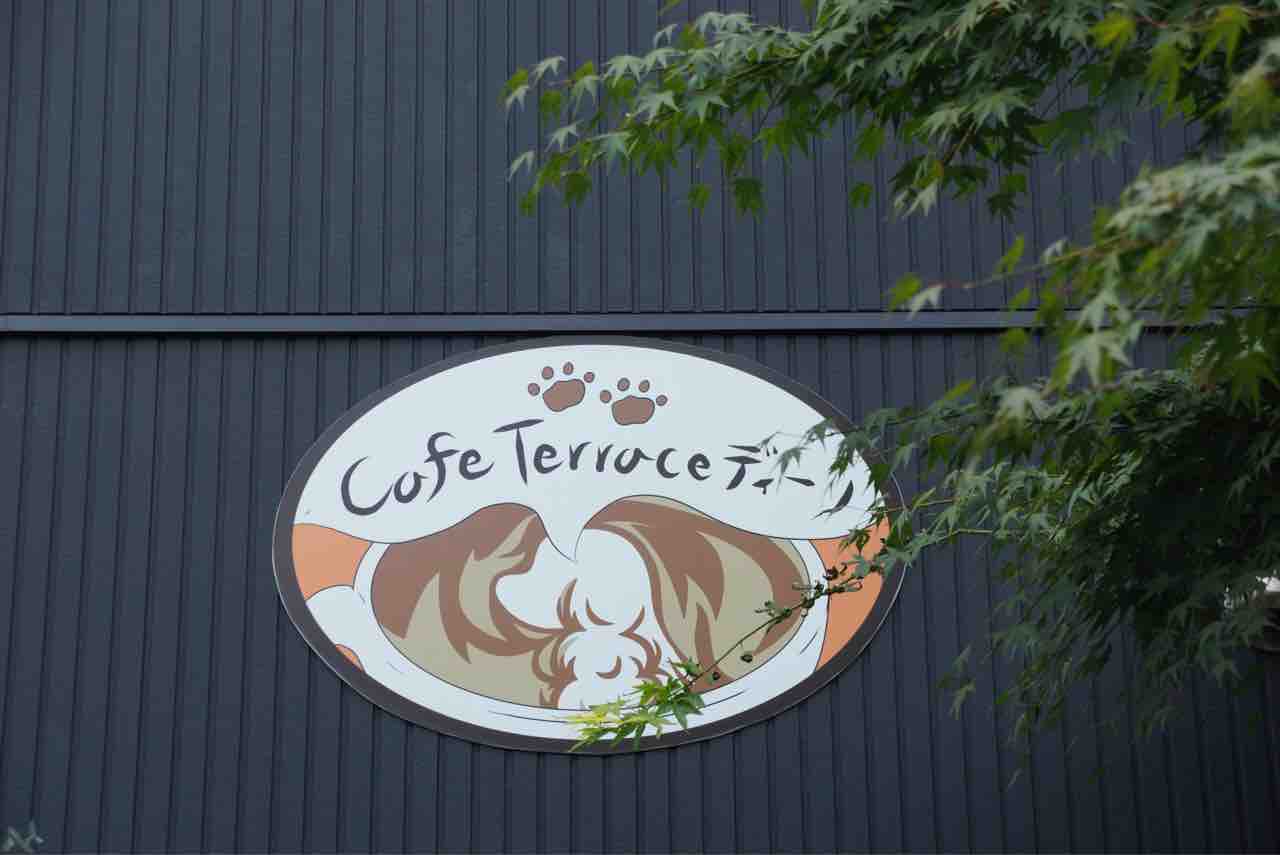 ドッグカフェ 秩父 カフェテラスディーノ シェビーズのブログ ドッグカフェ 秩父 カフェテラスディーノ シェビーズのブログ