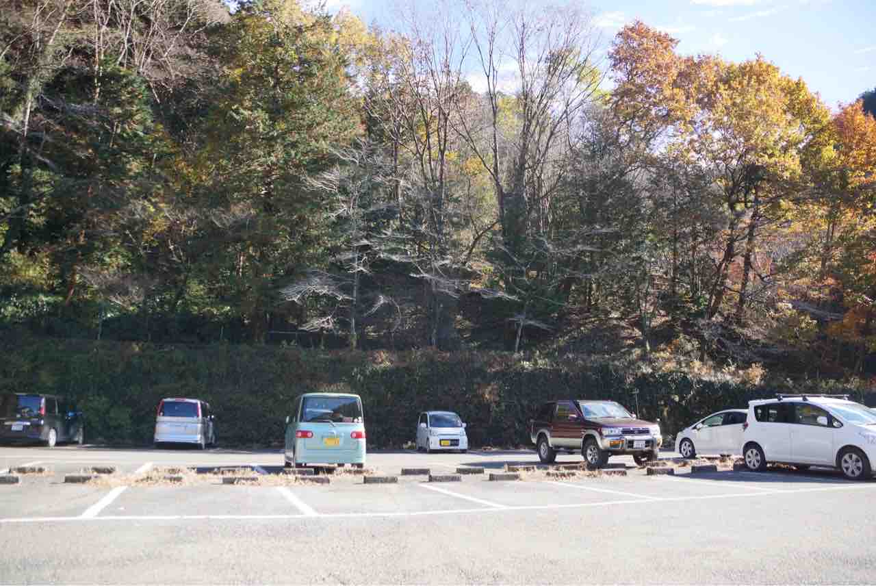 犬連れて 鎌北湖 紅葉 シェビーズのブログ 犬連れて 鎌北湖 紅葉 シェビーズのブログ