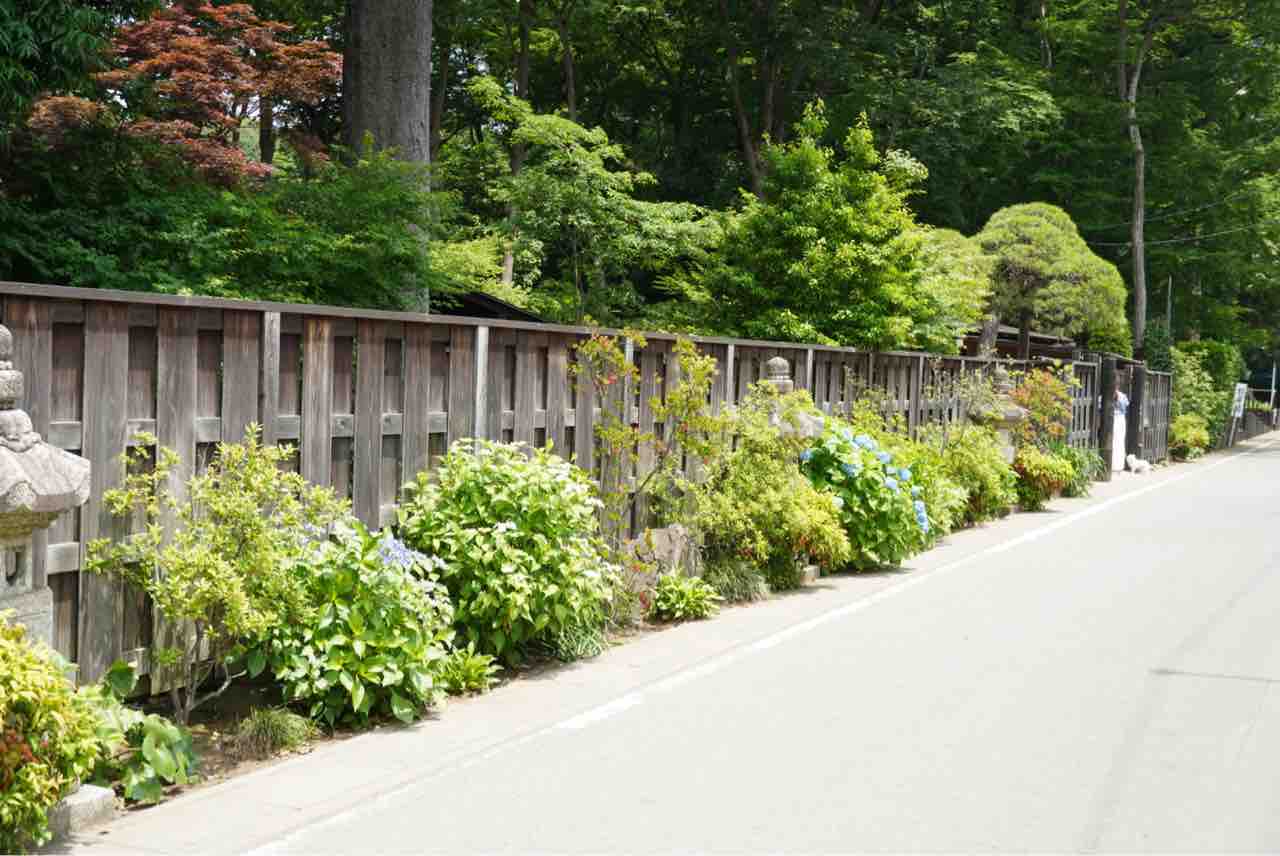 犬連れて 染谷花しょうぶ園 シェビーズのブログ