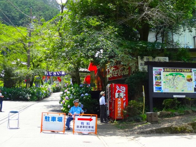 犬連れて大平山 あじさい坂 シェビーズのブログ