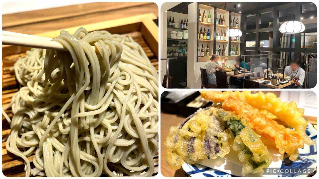 いかの墨 新宿駅南口マインズタワー店 ランチ シェビーズのブログ