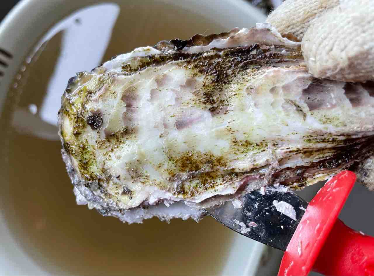 自宅で牡蠣を料理する方法 シェビーズのブログ 自宅で牡蠣を料理する方法 シェビーズのブログ