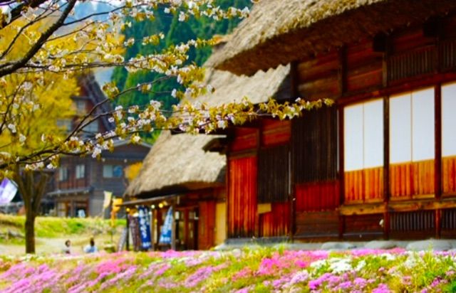 犬連れ旅行 白川郷 シェビーズのブログ 犬連れ旅行 白川郷 シェビーズのブログ