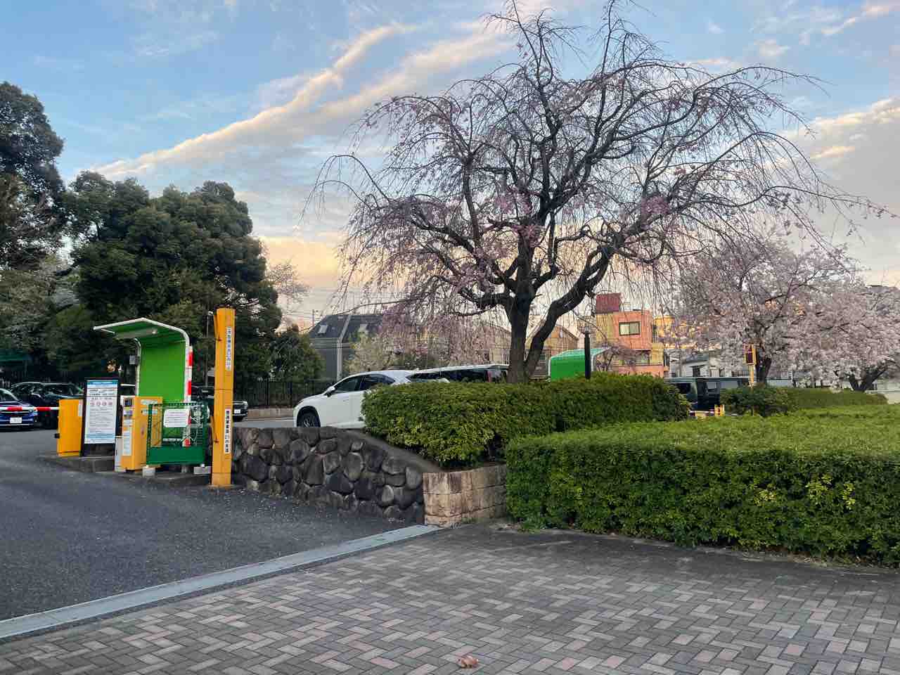 飛鳥 山 公園 駐 車場