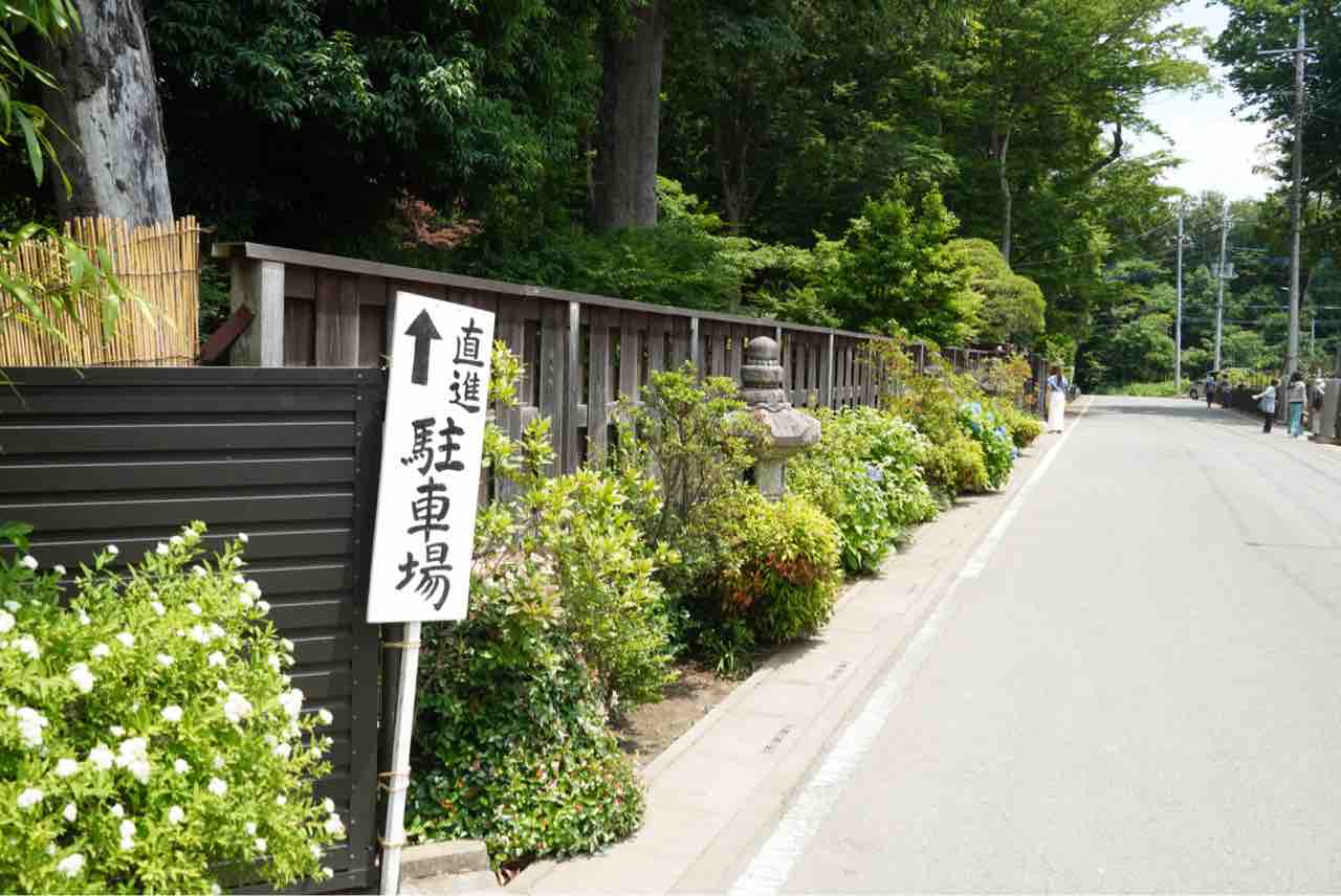 犬連れて 染谷花しょうぶ園 シェビーズのブログ
