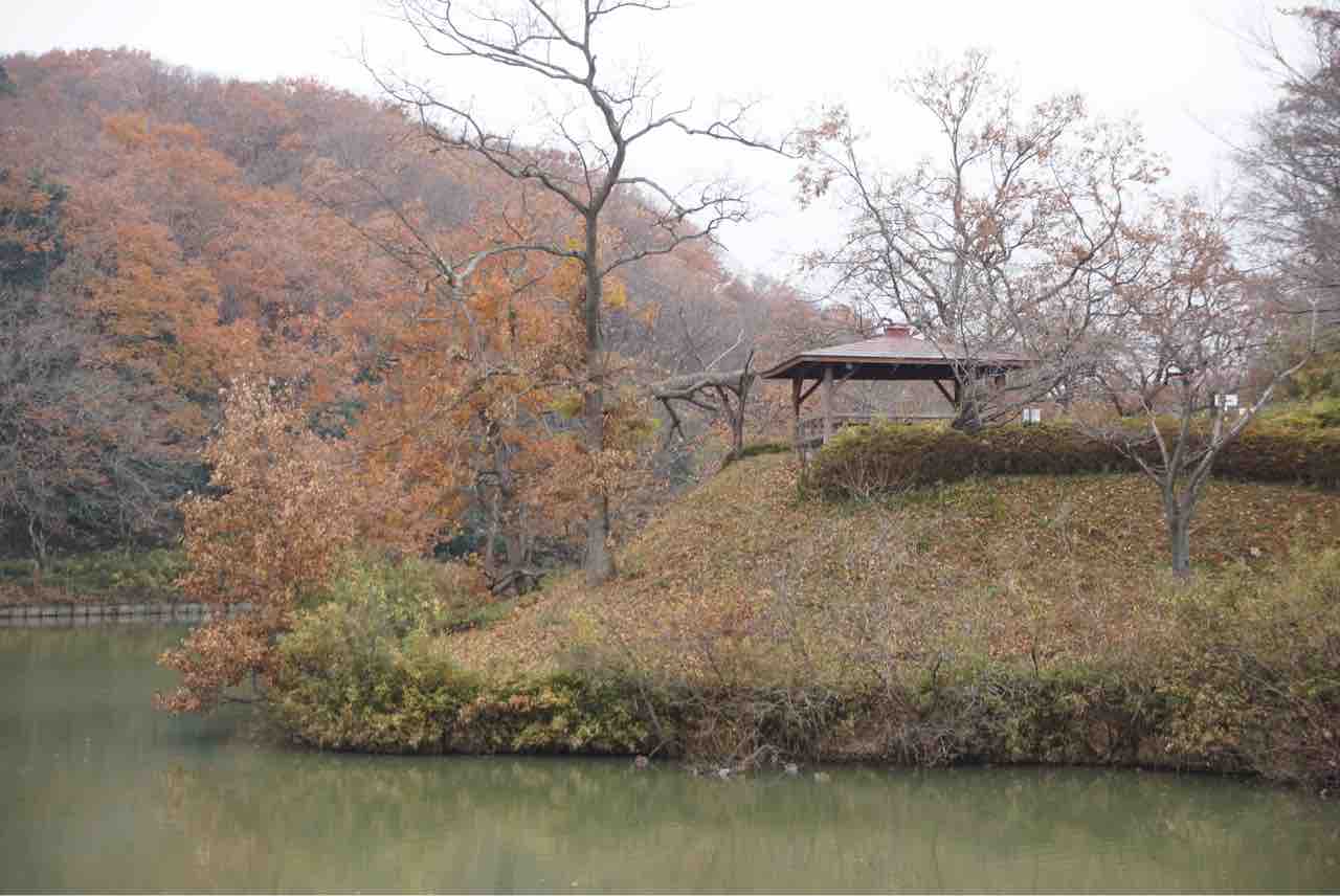 八丁湖公園 でハイキング 紅葉 シェビーズのブログ