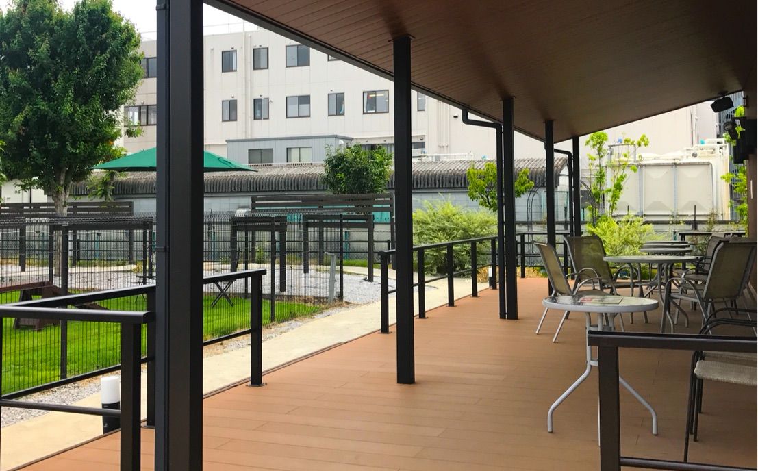 犬連れて カインズホーム ドッグラン シェビーズのブログ