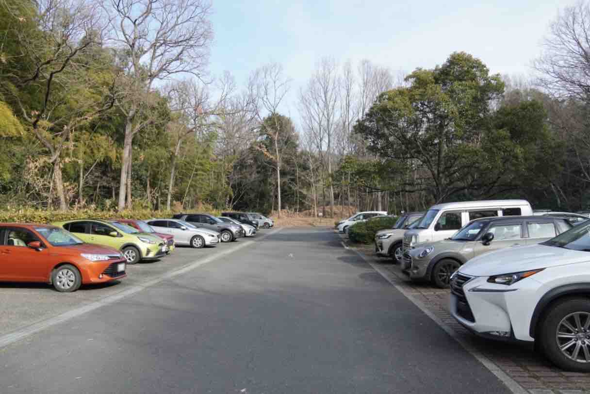 当時のメディア報道・掲載写真