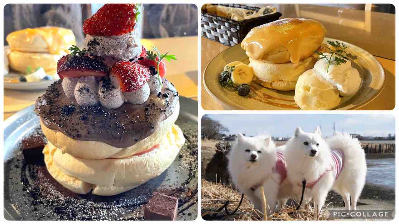 古民家カフェ バー スマイリー テラス席犬同伴可 シェビーズのブログ