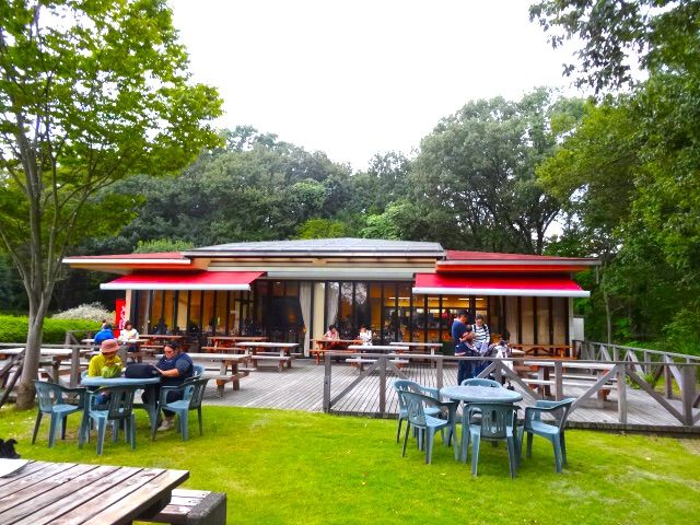 東松山森林公園のドッグラン シェビーズのブログ 東松山森林公園のドッグラン シェビーズのブログ