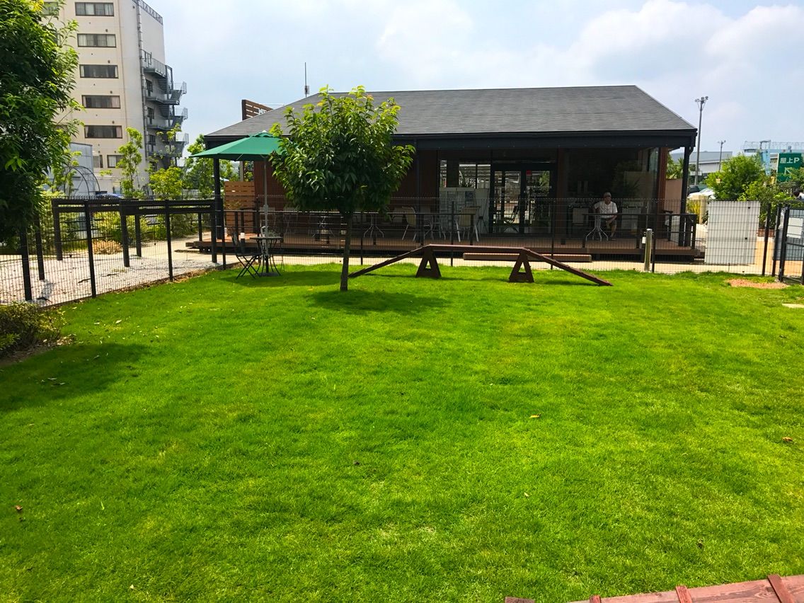 犬連れて カインズホーム ドッグラン シェビーズのブログ