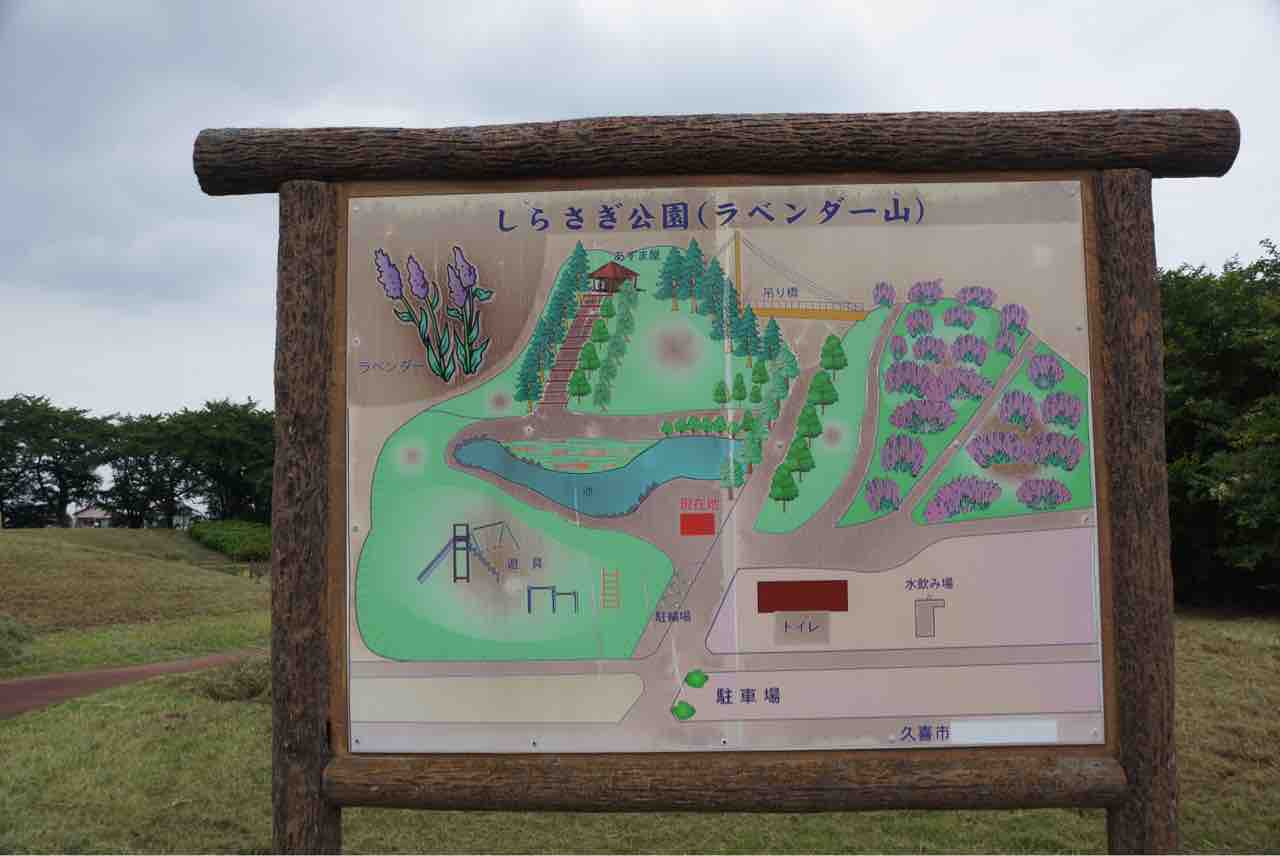 犬連れて しらさぎ公園 久喜菖蒲 シェビーズのブログ 犬連れて しらさぎ公園 久喜菖蒲 シェビーズのブログ