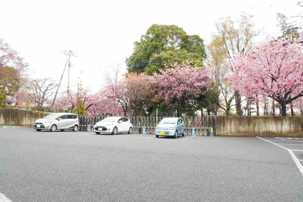 密 蔵 院 駐 車場