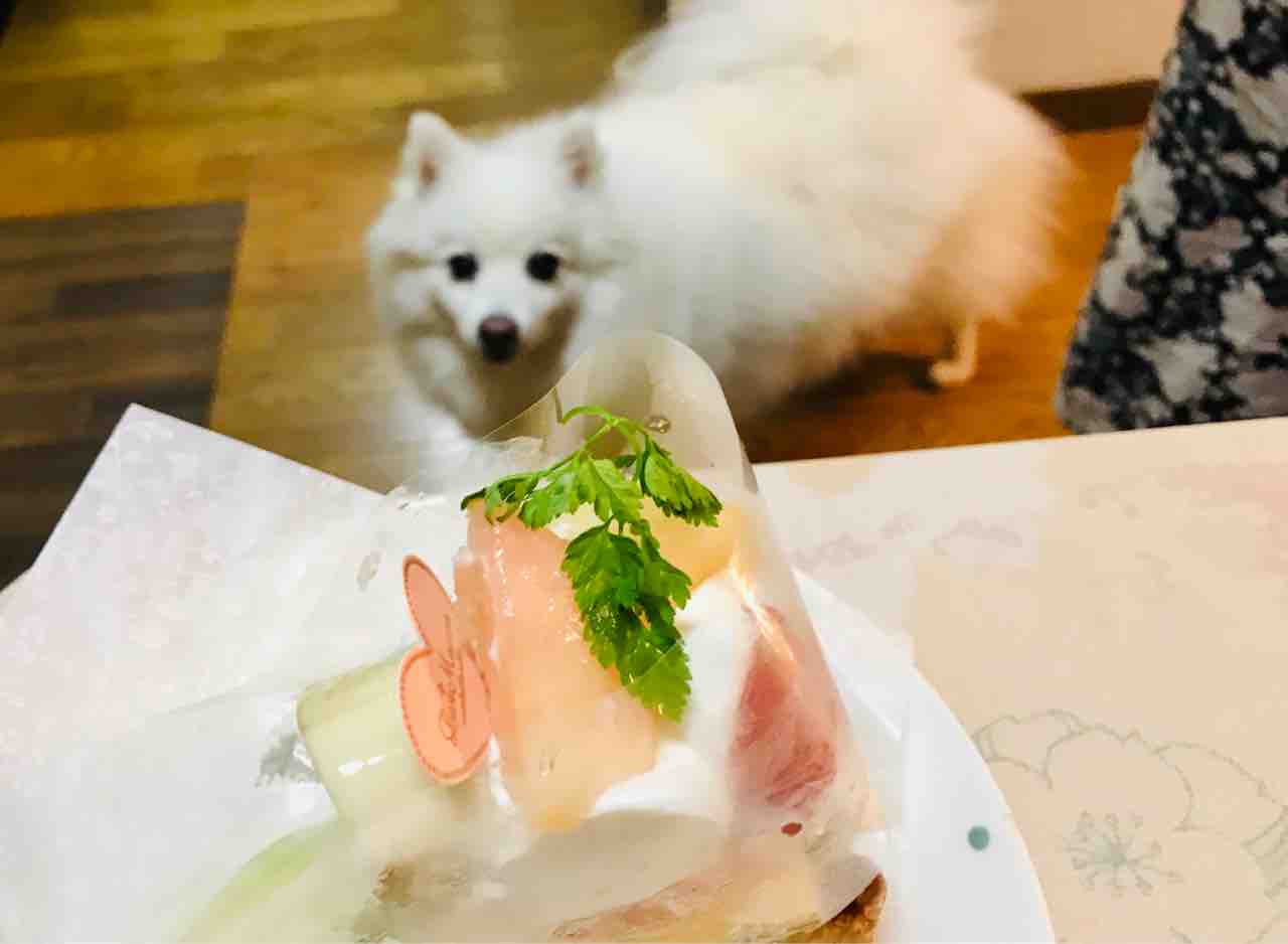 ラメゾンアンソレイユターブル 浦和パルコ店 フルーツタルト シェビーズのブログ ラメゾンアンソレイユターブル 浦和パルコ店 フルーツタルト シェビーズのブログ