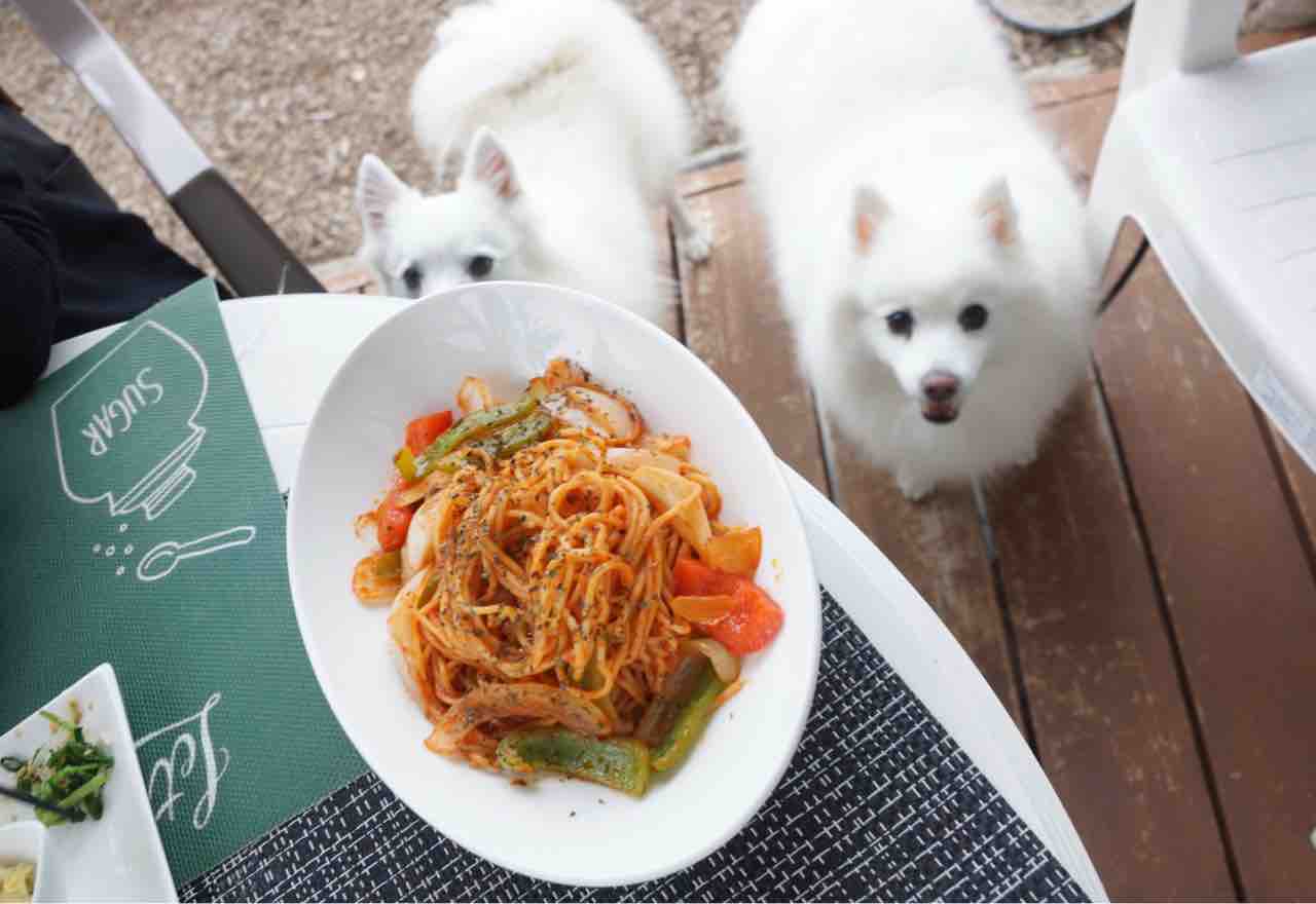 √ダウンロード ドッグ カフェ 埼玉 106032ドッグカフェ 埼玉県 許可 春日部 Jozirasutopqmk