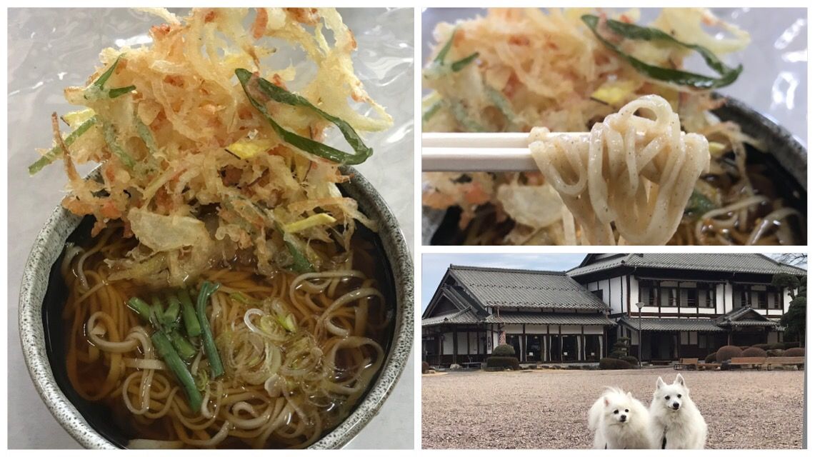 すきふね 蕎麦 犬連れて 道の駅和紙の里ひがしちちぶ シェビーズのブログ すきふね 蕎麦 犬連れて 道の駅和紙の里ひがしちちぶ シェビーズのブログ
