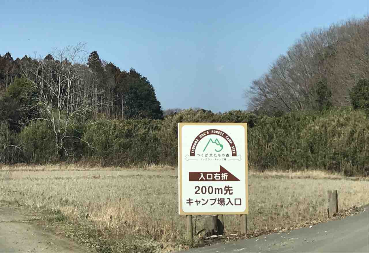 つくば犬たちの森ドッグラン キャンプ場 シェビーズのブログ つくば犬たちの森ドッグラン キャンプ場 シェビーズのブログ