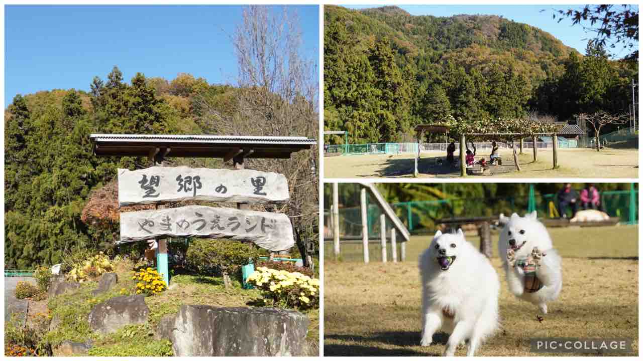 やま の うえ ランド