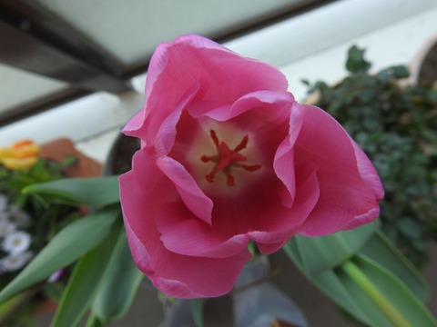 DSCN9717