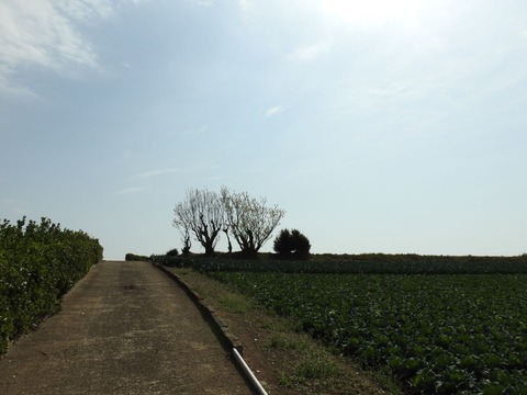DSCN9297