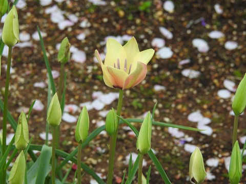 DSCN0362
