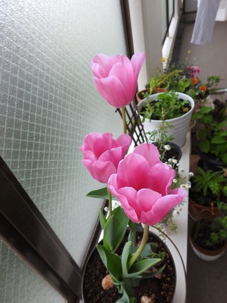 DSCN9982