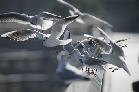 c3d1960070e1a81e528aef05970e9ca3_s