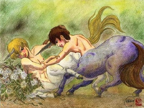 二頭の雄馬