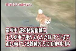 画像 昔放送していたトリビアの泉という番組wwwww ろいアンテナ 画像 昔放送していたトリビアの泉という番組wwwww ろいアンテナ
