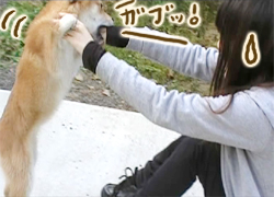 ��󤳤ˤ������