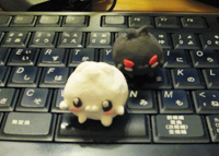 ��դդ����夢2