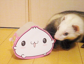 ��վ�ʪ����