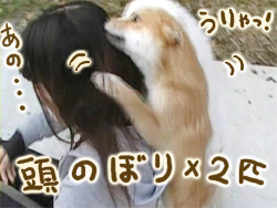 ��󤳤ˤ褸�Ф��