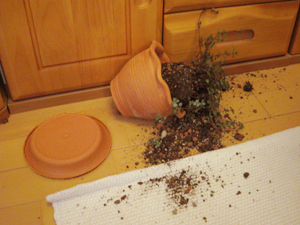 ����������������������������������������������