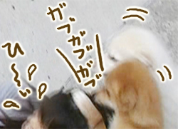 ��󤳤˿����