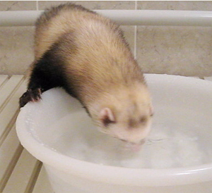 �९���������