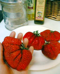 �Ҥ�����