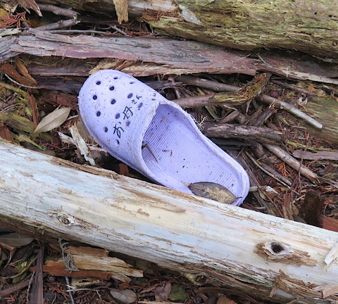 キツネのサンダル