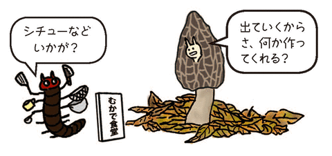 タムさん_アミガサダケ_2_Vol20