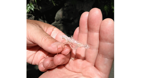 待ちに待った取材日