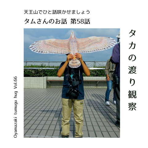 タムさんのお話 第58話 「タカの渡り観察」